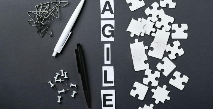 A Comprehensive Guide to Agile Software Development 2024