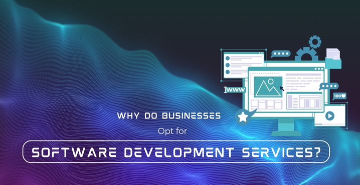 Why Do Businesses Opt for Software Development Services?