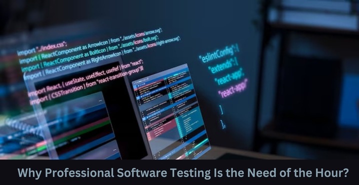 Why Professional Software Testing Is the Need of the Hour?