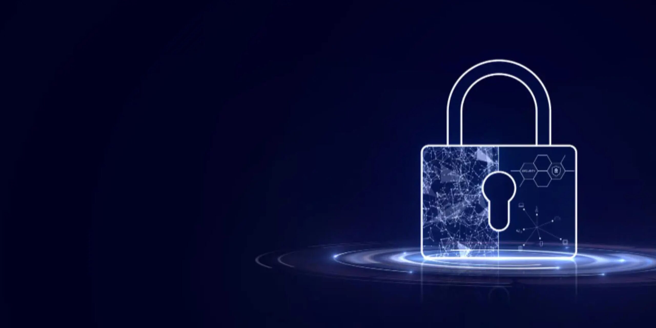Enhancing Your Cybersecurity Plan with Targeted VAPT Testing