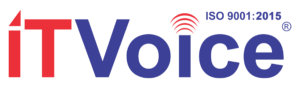 it-voice-logo-01